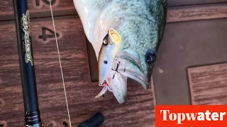 We Found Topwater Largemouth Bass in an Oxbow