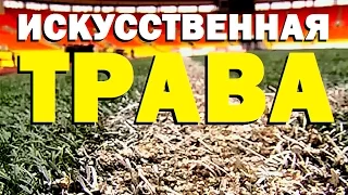 Галилео. Искусственная трава