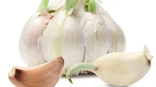 Jeden Tag Knoblauch essen: Hier ist, was Ihnen passieren kann!