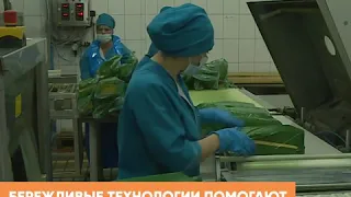 На Ставрополье работает  национальный проект «Производительность труда и поддержка занятости»