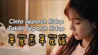 Ban Sheng Lian Ban Sheng Yuan  半生恋半生缘 - Hu Ya ( 琥牙 ) - Lagu Mandarin Subtitle Indonesia - Pinyin