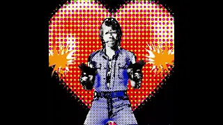 Love Chuck Norris A Force of One