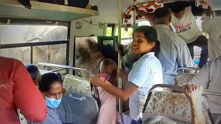 Wild Elephant Attacks a Bus on Buttala Katharagama road - Yala 2022