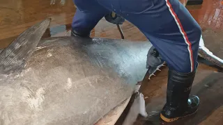 Gorgeous Skills for Perfectly Cutting Giant 478kg Bluefin Tuna