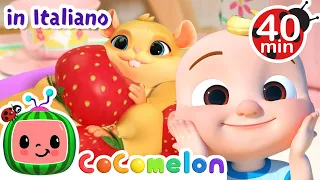 L'animaletto | CoComelon Italiano - Canzoni per Bambini