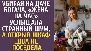 Убирая на даче богача, «жена на час» услышала странный шум, а открыв шкаф едва не поседела