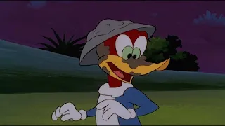 Woody joins the boy scouts | Woody Woodpecker