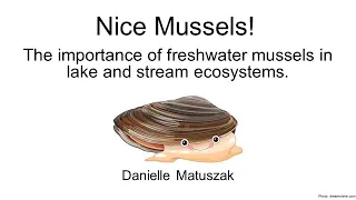 Nice Mussels! The importance of freshwater mussels in lake and river ecosystems