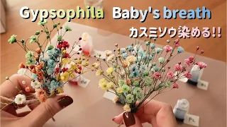 How to make colorful baby's breath flowers | coloring and drying gypsophila - DIY かすみ草の染め方