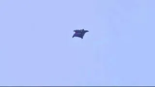 Wingsuit Landing Without Parachute! - Best Video!