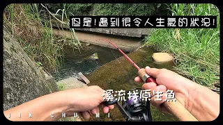 【釣魚津觸咪】原本愉快的釣遊，搞的心情有夠糟.. #V特 #路亞 #JinChuMi #JCM #Fishing #Lure