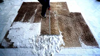SUPER Foamy Rug Washing | Satisfying Carpet Cleaning ASMR