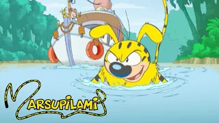 Marsupilami : Season 2, Episode 9 - Sardine and Dolphins ⚡