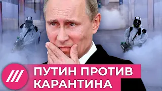 Россия идёт на поправки. Путин против карантина // Мнение Михаила Фишмана