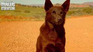 RED DOG: True Blue ft. Levi Miller, Bryan Brown | Teaser Trailer [HD]