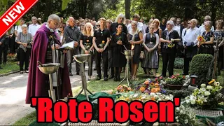 'Rote Rosen': Peter Dahlmann stirbt / Die Familie endet tragisch !
