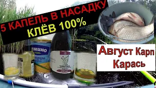 Вся рыба в Августе клюёт на это! Бешаная кукуруза  Этот аромат манит всего карпа и карася с озера.