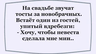 На свадьбе тост пьяного гостя всех потряс...   Сборник смешных анекдотов!  Юмор! Шутки!