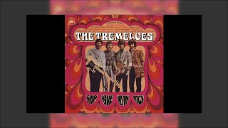 The Tremeloes - Chip Dave Alan And Rick Mix