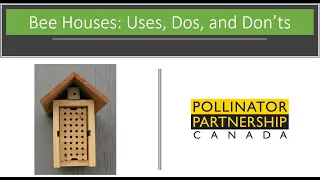 Bee Houses: Uses, Do's and Dont's