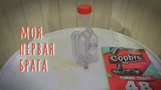 Моя первая брага.