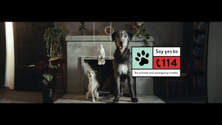 Say yes to 114 - a national emergency number for Norwegian animals