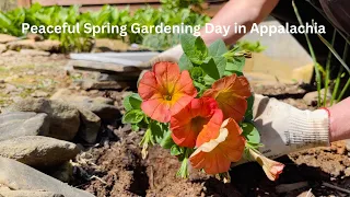 Peaceful Spring Day in the Garden - Flowers & Mountain Creek (Calming Scenes)