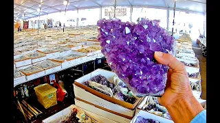 Crystals and Dinosaurs at the Tucson Gem, Mineral & Fossil Show 2020!