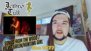 Drummer reacts to "Songs From The Wood" / "Velvet Green" / "Hunting Girl" (Live) by Jethro Tull