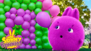 Balloon Pop | SUNNY BUNNIES | Cartoons for Kids | WildBrain Zoo