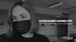 Осенний семестр | мое расписание и что я изучала