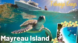 Caribbean Paradise 2024: Mayreau Island and the Tobago Cays (St. Vincent and the Grenadines)