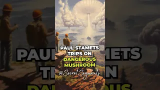 Paul Stamets Describes Bad Trip on Incredibly Dangerous Mushroom #joerogan #shorts #mushroom