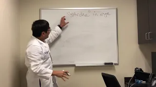 “Stroke”: NAION vs retinal artery occlusion