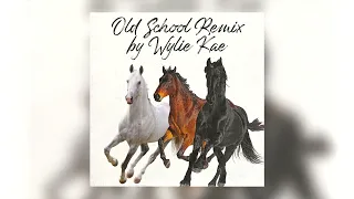 Lil Nas X feat. Billy Ray Cyrus - Old Town Road (Wylie Kae Remix)