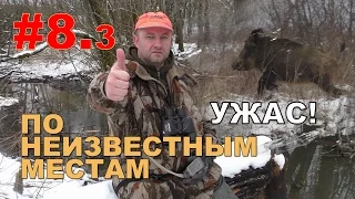 Видео-Охота на кабана и косулю. 8 марта 2017г. #3