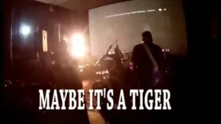 Maybe It's A Tiger - Je t'aime (en vivo Morelia )