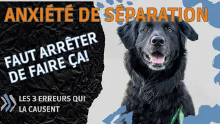 Anxiété de Séparation chez votre Chien : 3 Erreurs à ne plus faire