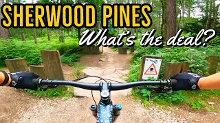 Sherwood Pines Kitchener Mountain Bike Trail