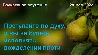 Поступайте по духу, и вы не будете исполнять вожделений плоти. Воскресное служение 29 мая 2022