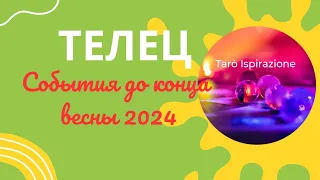 ТЕЛЕЦ ♉️ СОБЫТИЯ ДО КОНЦА ВЕСНЫ 2024🌈 КАКОЕ СОБЫТИЕ ИЗМЕНИТ ВАШУ ЖИЗНЬ?🔴 РАСКЛАД Tarò Ispirazione