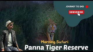 Panna National Park -  World Of Tigers Wildlife Documentary | Ken River