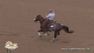 Jessicat ridden by Jason Gay - 2018 NRCHA Stallion Stakes (Open Bridle)