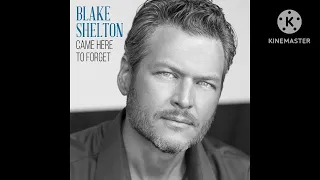 Blake Shelton - Came Here To Forget (Filtered Instrumental)