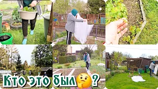 Печально 😭/Гости на участке🙀.