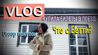 ОБЗОР ПОКУПОК VLOG КУПИЛА БИЛЕТ В ПОЕЗД