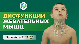 Дисфункции жевательных мышц.