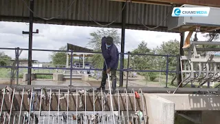 How is sewage treated at Kenya's biggest treatment plant in Ruai?