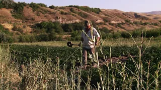 Ուրցաձոր