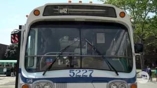 Vintage Bus Bash on Governor's Island